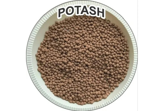 Bio Potash Fertilizer